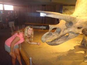 Peppisaurus und Triceratops